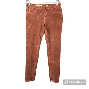 Pilcro and the Letterpress, Corduroy Pants, Size 31